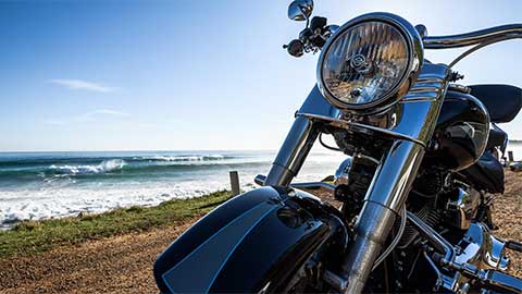 Misc-Bikes_main-img