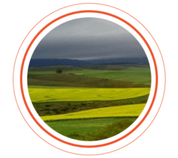 FOOTER_TOURS7