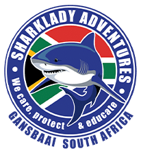 Sharklady_Partner