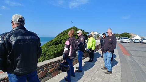 Whale-watching-tours_main